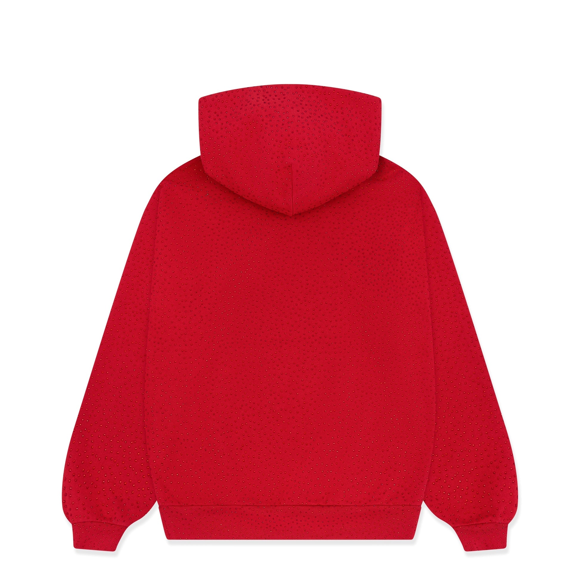 VVS HOODIE